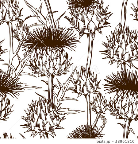 Seamless pattern with onopordum acanthium 38961810