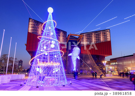 大阪・海遊館・イルミネーション 38961858