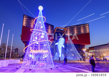 大阪・海遊館・イルミネーション 38961859