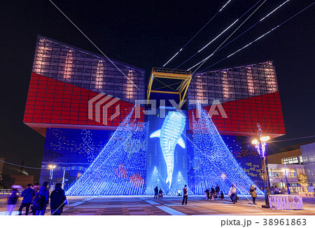 大阪・海遊館・イルミネーション 大阪・海遊館・イルミネーション 38961863