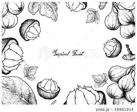 Frame of Sweet Ripe Santol and Cluster Fig Fruits 38961914