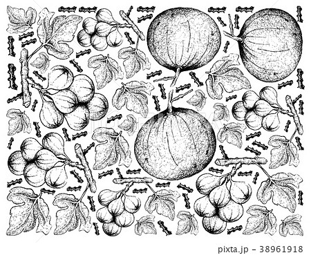 Background of Sweet Ripe Santol and Cluster Fig 38961918