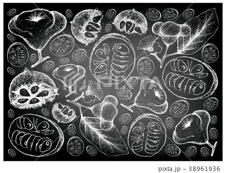 Monk Fruit and Watery Rose Apple on Chalkboard 38961936