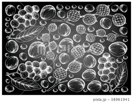 Hand Drawn Rattan and Langsat Fruits on Chalkboard 38961941