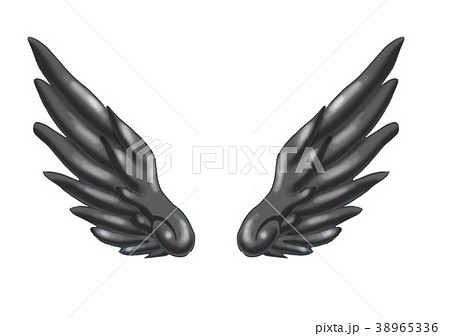 翼のイラスト 羽 羽根 翼 鳥 天使のイラスト素材 38965336 Pixta