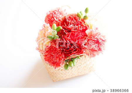 母の日ギフト 母の日ギフト 38966366