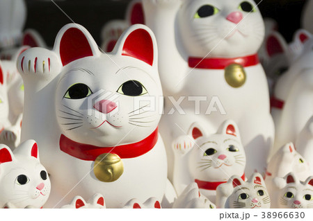 豪徳寺の招き猫 38966630