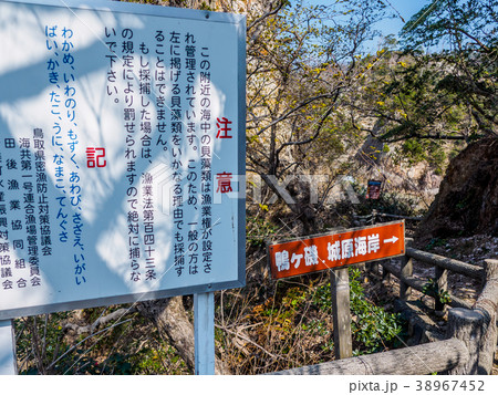鳥取県の絶景ジオパーク 必見の美しい浦富海岸 山陰海岸国立公園 世界ジオパーク 鳥取県の絶景ジオパーク 必見の美しい浦富海岸 山陰海岸国立公園 世界ジオパーク 38967452