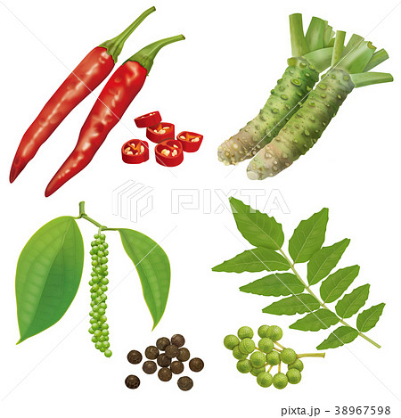 スパイス 38967598