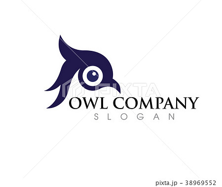 owl bird illustration logo template owl bird illustration logo template 38969552