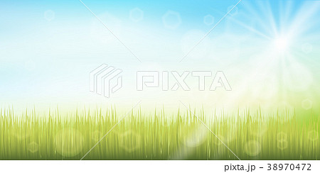 草原　空　風景　背景  38970472