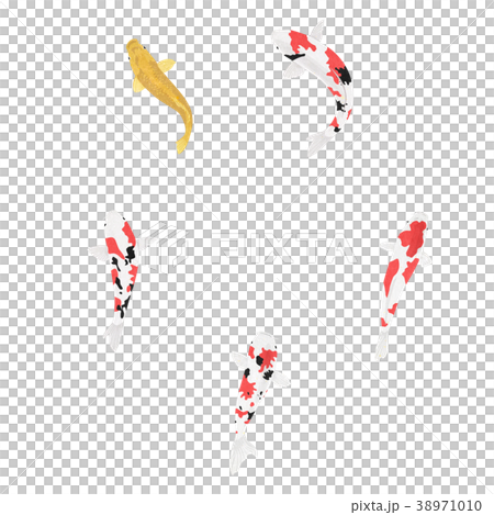 鯉のサークル（pngあり） 38971010