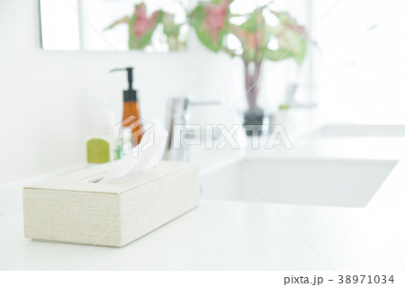 洗面所 ティッシュペーパー バスルーム 洗面所 ティッシュペーパー バスルーム 38971034