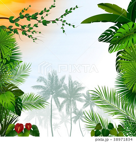 Tropical landscape with palm trees and leaves 38971834