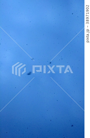 Falling Snow is Large 38971902