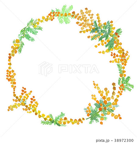 mimosa wreath 38972300