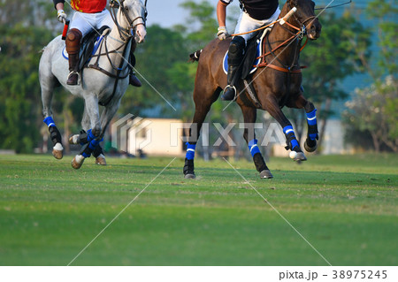 Horse polo are competing in the polo field. Horse polo are competing in the polo field. 38975245