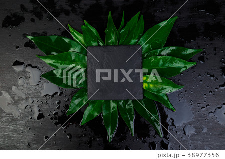 Creative layout made of leaves with black  38977356
