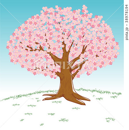 Hand Drawn Style Illustration Cherry Tree In Stock Illustration