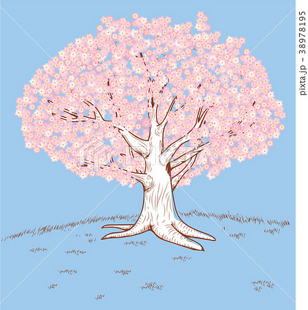 手描き風イラスト 満開の桜の木 ソメイヨシノ 春のイメージのイラストのイラスト素材
