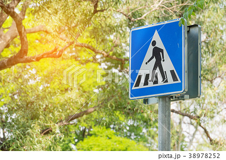 Pedestrian crossing traffic sign pole Pedestrian crossing traffic sign pole 38978252