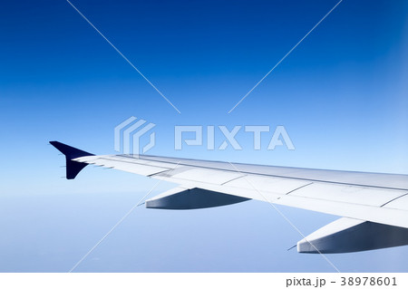 On flight, in the blue sky background On flight, in the blue sky background 38978601