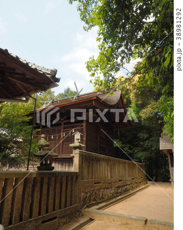 桂浜神社本殿 桂浜神社本殿 38981292