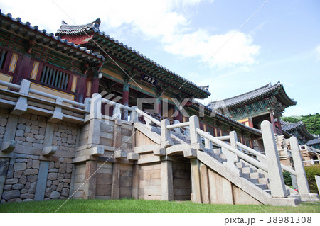 階段 寺院 蓮花橋 38981308