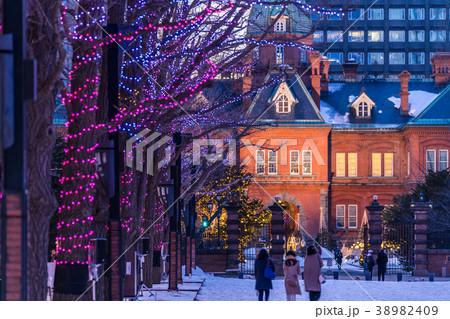 北海道の冬　北海道道庁ライトアップイベント 38982409