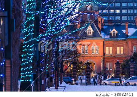 北海道の冬　北海道道庁ライトアップイベント 38982411