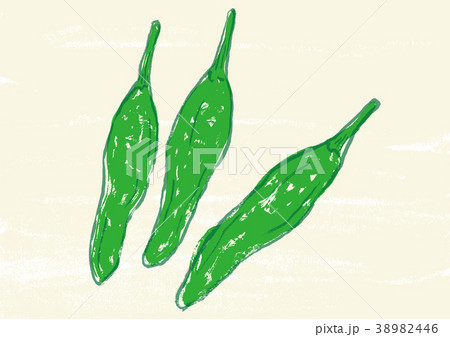 ししとう　水彩画 38982446