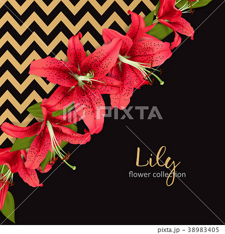 Wedding invitation with lily flowers 38983405