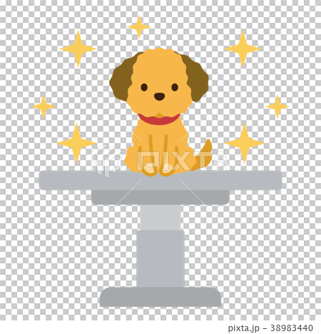 診察台　イヌ 38983440