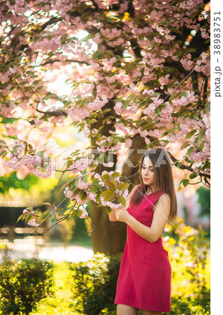 Young girl posing for a photo. Flowering pink Young girl posing for a photo. Flowering pink 38983751