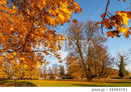 autumn castle park Budatin near by Zilina autumn castle park Budatin near by Zilina 38984361