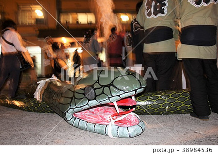 老神温泉の蛇祭りのヘビ 老神温泉の蛇祭りのヘビ 38984536