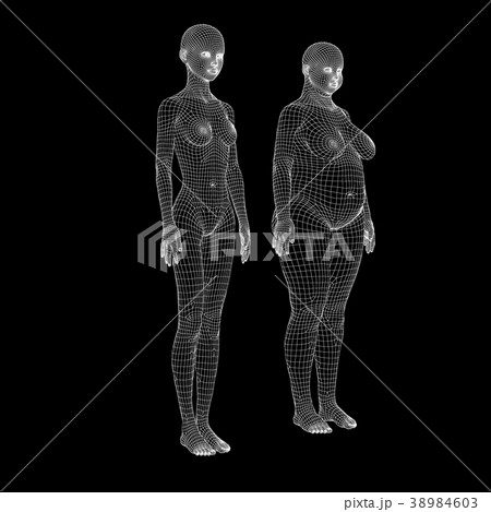 ダイエットイメージ　ワイヤーフレームperming3DCGイラスト素材 38984603