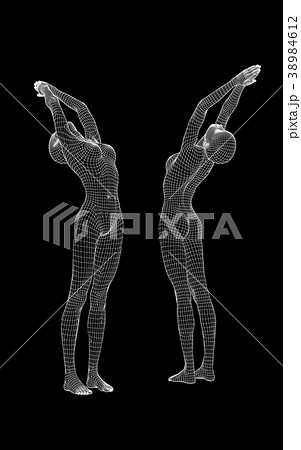 ヨガポーズする女性 ワイヤーフレームperming3DCGイラスト素材 ヨガポーズする女性 ワイヤーフレームperming3DCGイラスト素材 38984612