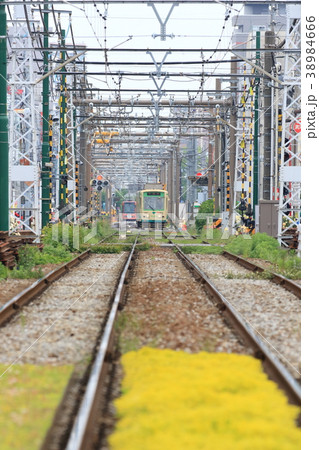 都電荒川線 荒川車庫前 都電荒川線 荒川車庫前 38984666
