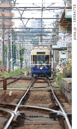 都電荒川線 荒川車庫前のバラ電車 都電荒川線 荒川車庫前のバラ電車 38984758