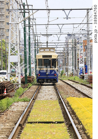 都電荒川線 荒川車庫前のバラ電車 都電荒川線 荒川車庫前のバラ電車 38984760