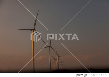 Wind turbine farm of silhouette at sunset. 38986367