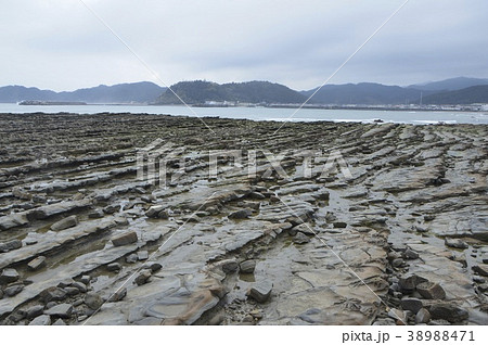 鬼の洗濯板(青島神社/宮崎県宮崎市青島) 鬼の洗濯板(青島神社/宮崎県宮崎市青島) 38988471