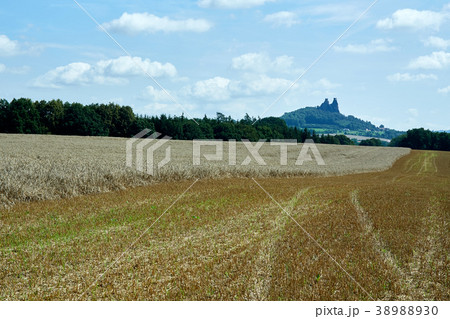 Ruin of medieval gothic castle Trosky 38988930
