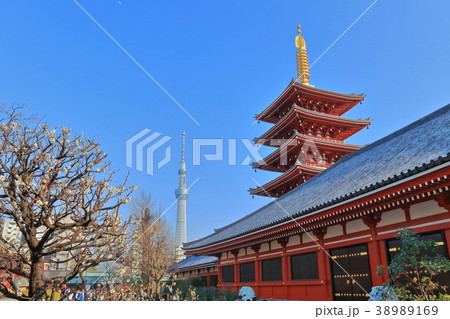 浅草寺 五重塔と東京スカイツリー 浅草寺 五重塔と東京スカイツリー 38989169