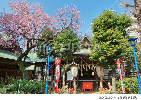 花園稲荷神社(上野恩賜公園) 花園稲荷神社(上野恩賜公園) 38989186