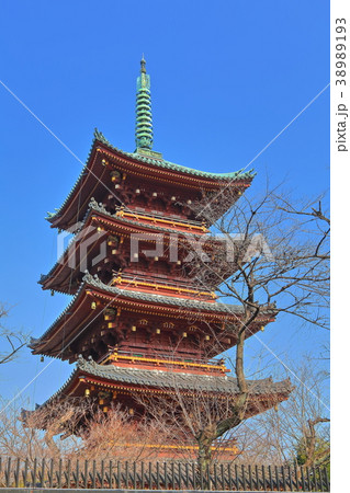 旧寛永寺五重塔 38989193