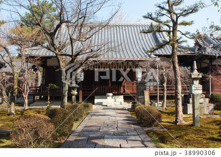 京都　安楽寿院境内 38990306