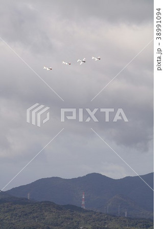 小月基地の航空ショーで瀬戸内の山を背景にアクロバット編隊飛行する海上自衛隊のT-5国産初等練習機 38991094