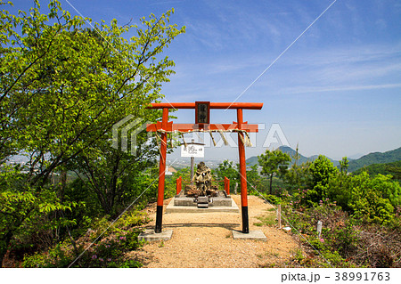 臥竜の森 38991763